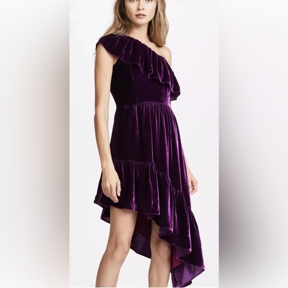 LoveShackFancy PAMELA PARTY DRESS Mulberry Size 2 NWT - Picture 4 of 10
